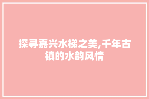 探寻嘉兴水梯之美,千年古镇的水韵风情