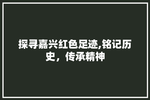 探寻嘉兴红色足迹,铭记历史，传承精神