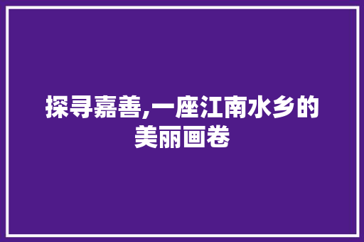 探寻嘉善,一座江南水乡的美丽画卷