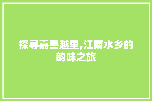 探寻嘉善越里,江南水乡的韵味之旅