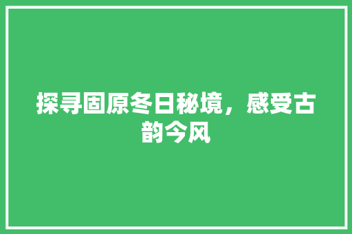 探寻固原冬日秘境，感受古韵今风