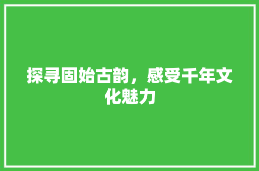 探寻固始古韵，感受千年文化魅力