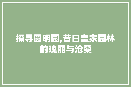 探寻圆明园,昔日皇家园林的瑰丽与沧桑