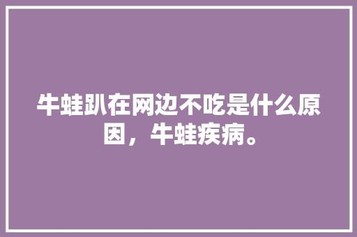 牛蛙趴在网边不吃是什么原因，牛蛙疾病。  第1张