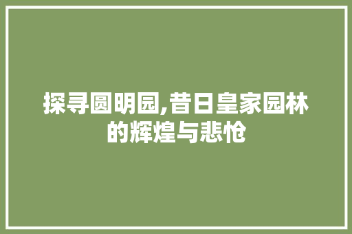 探寻圆明园,昔日皇家园林的辉煌与悲怆