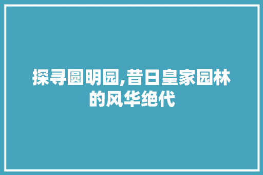 探寻圆明园,昔日皇家园林的风华绝代