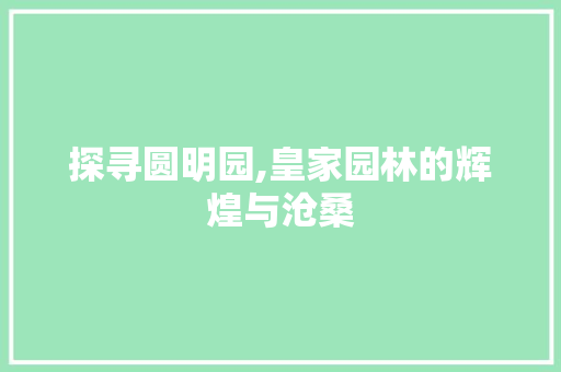 探寻圆明园,皇家园林的辉煌与沧桑