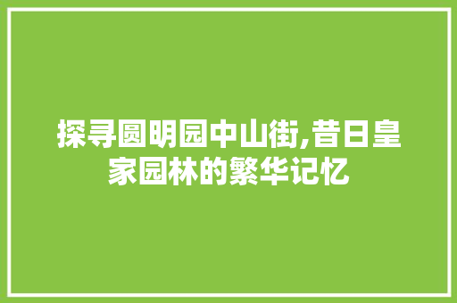 探寻圆明园中山街,昔日皇家园林的繁华记忆