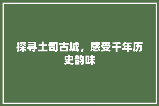 探寻土司古城，感受千年历史韵味