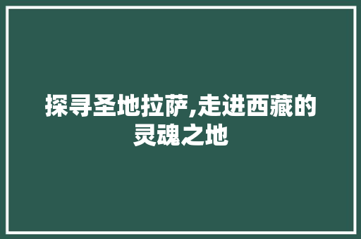 探寻圣地拉萨,走进西藏的灵魂之地