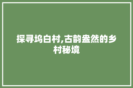 探寻坞白村,古韵盎然的乡村秘境