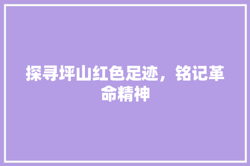 探寻坪山红色足迹，铭记革命精神