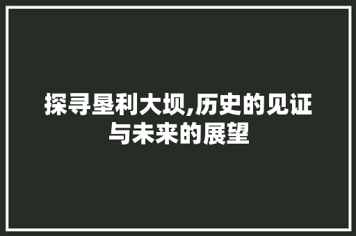 探寻垦利大坝,历史的见证与未来的展望