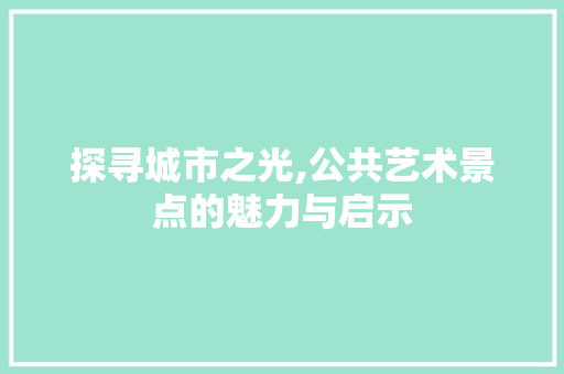 探寻城市之光,公共艺术景点的魅力与启示