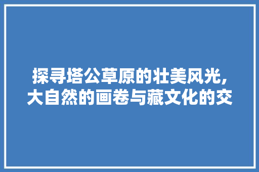 探寻塔公草原的壮美风光,大自然的画卷与藏文化的交融