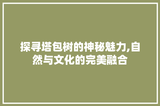 探寻塔包树的神秘魅力,自然与文化的完美融合