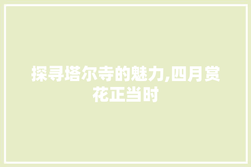 探寻塔尔寺的魅力,四月赏花正当时