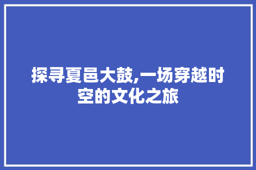 探寻夏邑大鼓,一场穿越时空的文化之旅