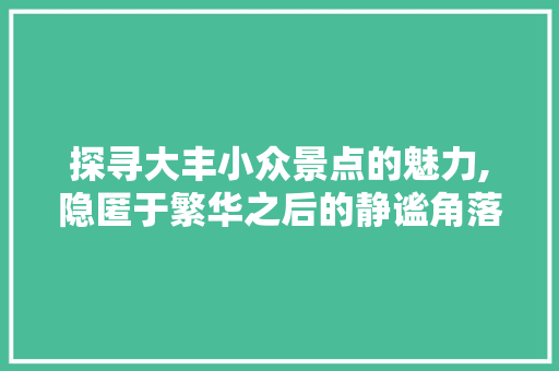 探寻大丰小众景点的魅力,隐匿于繁华之后的静谧角落