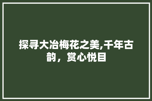 探寻大冶梅花之美,千年古韵，赏心悦目