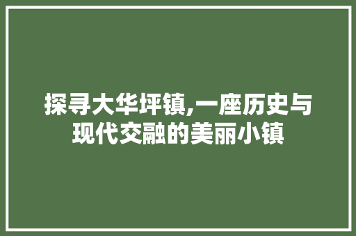 探寻大华坪镇,一座历史与现代交融的美丽小镇