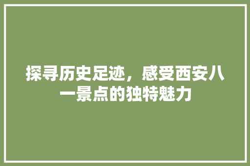 探寻历史足迹，感受西安八一景点的独特魅力