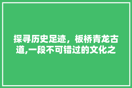 探寻历史足迹，板桥青龙古道,一段不可错过的文化之旅