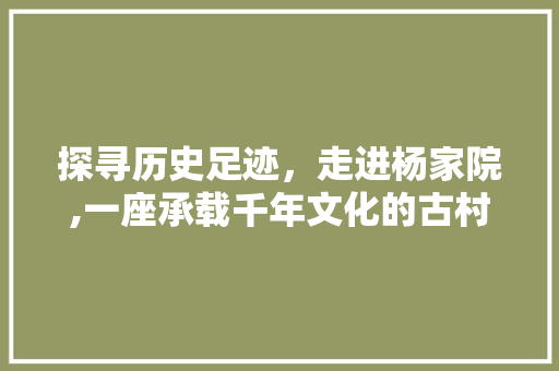 探寻历史足迹，走进杨家院,一座承载千年文化的古村落