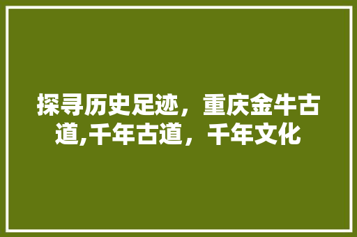 探寻历史足迹，重庆金牛古道,千年古道，千年文化