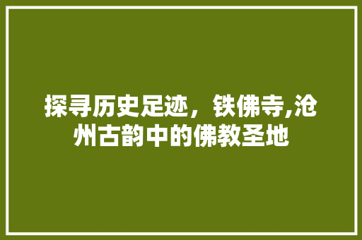 探寻历史足迹，铁佛寺,沧州古韵中的佛教圣地