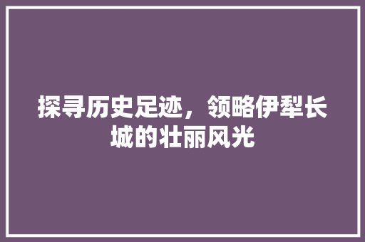 探寻历史足迹，领略伊犁长城的壮丽风光