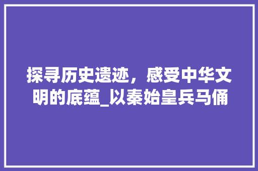 探寻历史遗迹，感受中华文明的底蕴_以秦始皇兵马俑为例