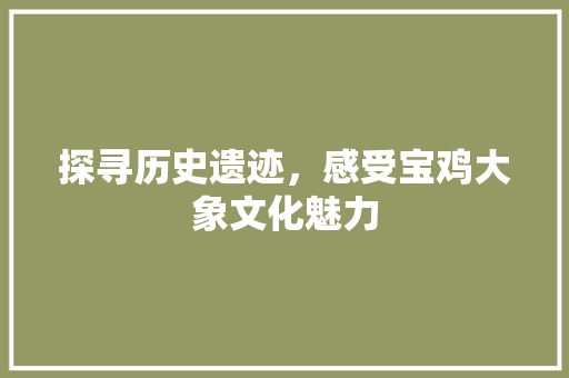 探寻历史遗迹，感受宝鸡大象文化魅力