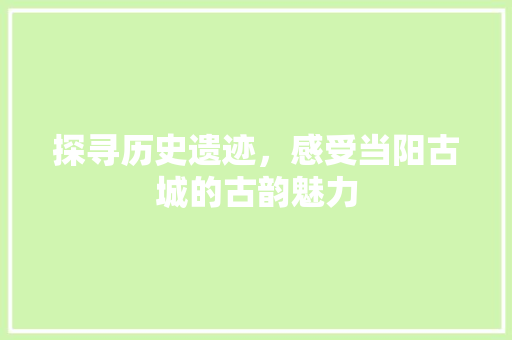 探寻历史遗迹，感受当阳古城的古韵魅力