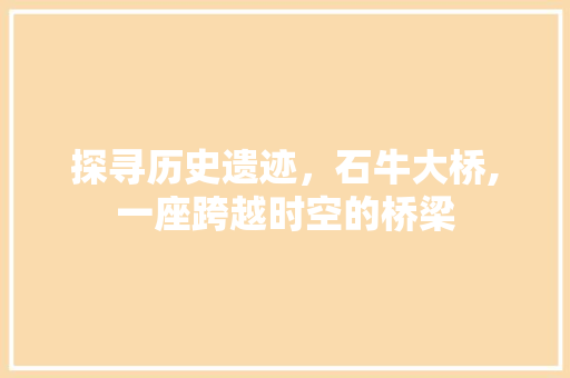 探寻历史遗迹，石牛大桥,一座跨越时空的桥梁