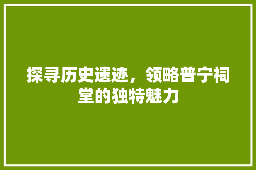 探寻历史遗迹，领略普宁祠堂的独特魅力