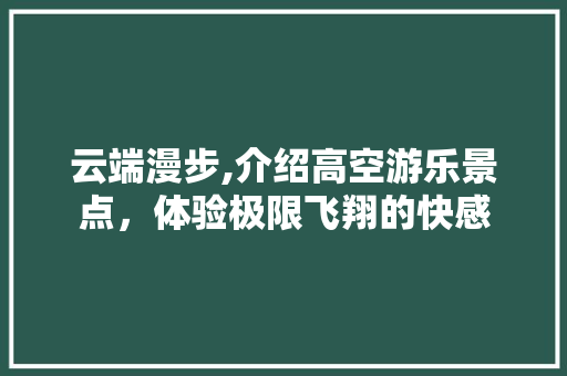 云端漫步,介绍高空游乐景点，体验极限飞翔的快感