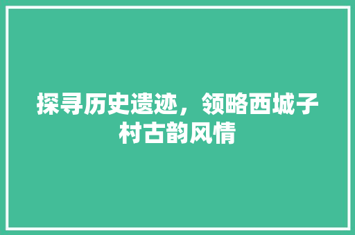 探寻历史遗迹，领略西城子村古韵风情