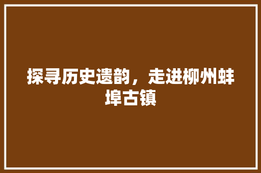 探寻历史遗韵，走进柳州蚌埠古镇