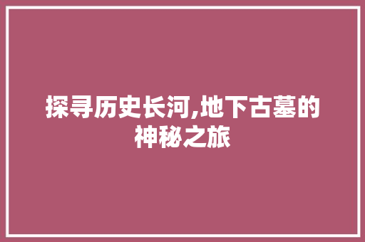 探寻历史长河,地下古墓的神秘之旅