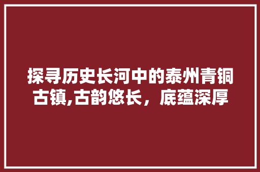 探寻历史长河中的泰州青铜古镇,古韵悠长，底蕴深厚