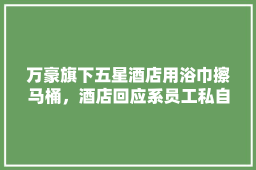 万豪旗下五星酒店用浴巾擦马桶，酒店回应系员工私自违规操作，你怎么看？酒店卫生乱象该如何治理，旅游马桶清洁方法。