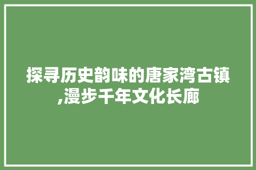 探寻历史韵味的唐家湾古镇,漫步千年文化长廊