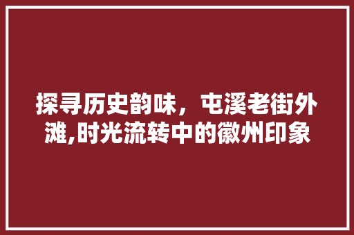 探寻历史韵味，屯溪老街外滩,时光流转中的徽州印象