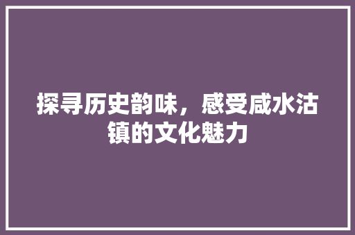 探寻历史韵味，感受咸水沽镇的文化魅力