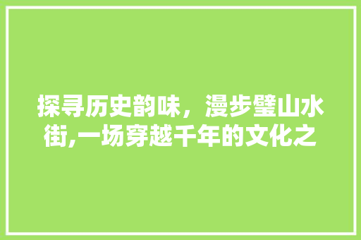 探寻历史韵味，漫步璧山水街,一场穿越千年的文化之旅  第1张