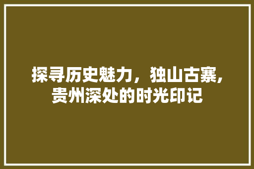 探寻历史魅力，独山古寨,贵州深处的时光印记