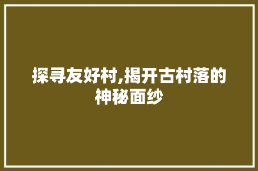 探寻友好村,揭开古村落的神秘面纱