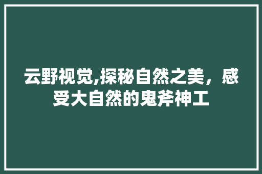 云野视觉,探秘自然之美，感受大自然的鬼斧神工