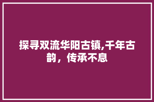 探寻双流华阳古镇,千年古韵，传承不息